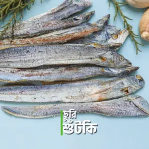 প্রিমিয়াম চুইখ্যা ছুরি (মাঝারি সাইজ) শুঁটকি