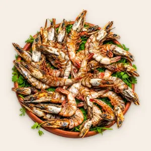 চাকা চিংড়ী বড় সাইজ