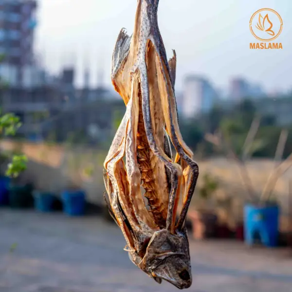 লাক্ষা শুটকি