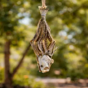 দাতিনা কোরাল শুটকি